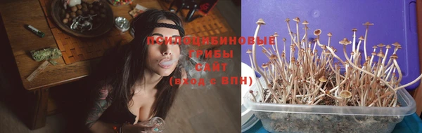 кокс Верея